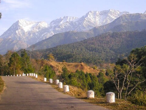 taxi service from infinitea dak bunglow palampur